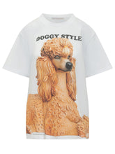 - | $store$