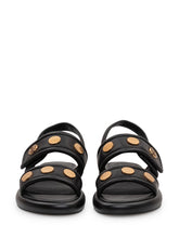 - | $store$