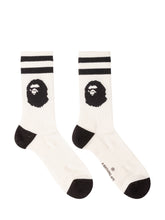 - | $store$